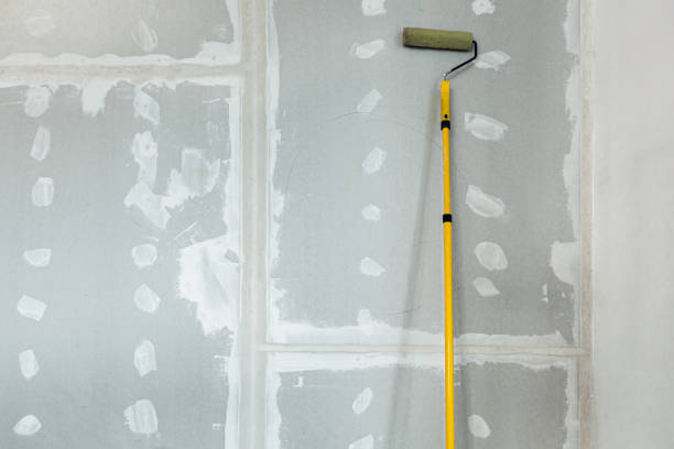 Professional Mold Removal in Vinita, OK